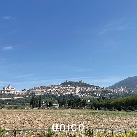 Unica Assisi Agri-Charming House Bed and Breakfast Esterno foto